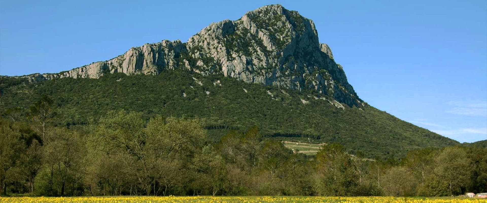 Quoi de neuf au sud ?