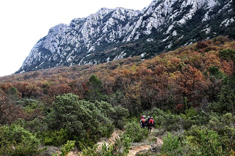 Randonnées autour du Pic Saint-Loup : itinéraires, niveaux et panoramas