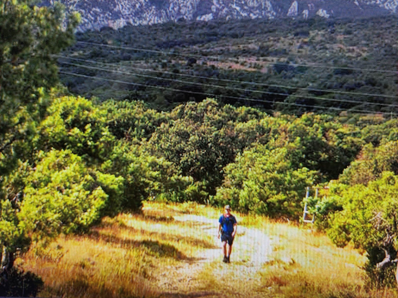Le GR® du Grand Pic Saint-Loup, entre garrigue, vignobles et patrimoine historique